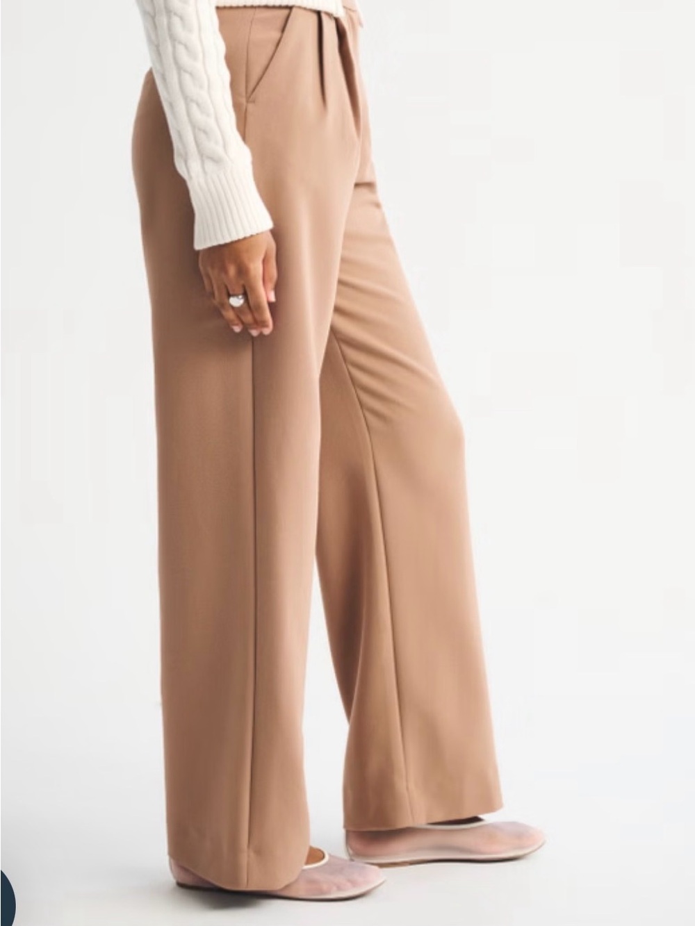 Abercrombie & Fitch Pants Size 28 Curve Love Sloane Tailored Wide Leg Tan - Picture 2 of 11